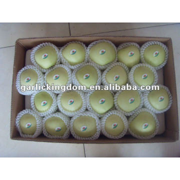 GOLDEN APPLE SUPPLIER IN CHINA